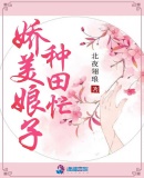 官路风流