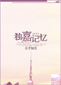 小说hnp