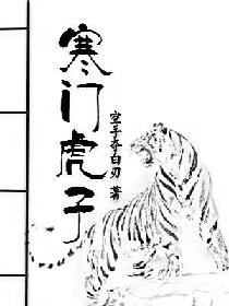 风流杨家将外传