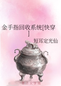 艾尔之光什么职业好
