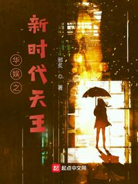 乱世丽人行电视剧