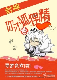 151pao.com