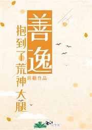 午夜爽爽视频