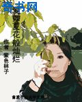 极品家丁下载txt免费下载