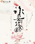 1769资源离线视频