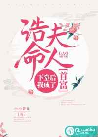 新婚白领被征服小说