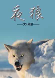 天幕红尘46集完整版电视剧免费