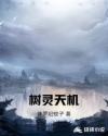 模特精品视频一区