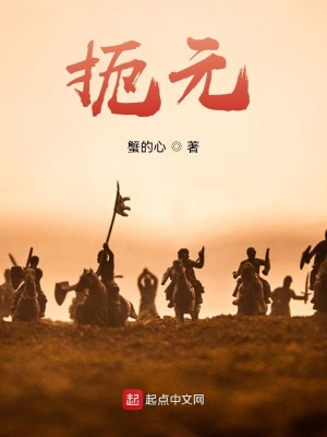 席德梅尔的海盗