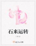 dvd一级碟片