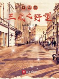 喜宝txt