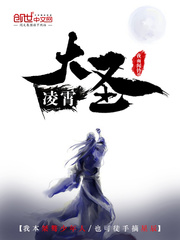 柴绍