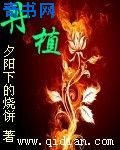 父母儿女乱换目录章节