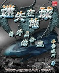 王者荣耀小说