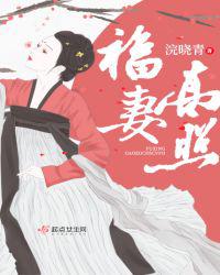 养了八年的金丝雀飞走啦免费阅读