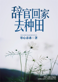 七仙女欲春2一级裸片免费观看