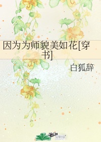 完美世界
