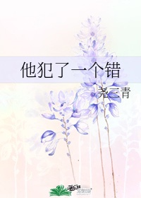 长途车卧铺最后一排