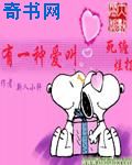 网红女神主播思瑞vip