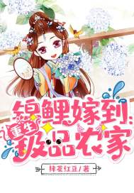 高清视频免费在线观看