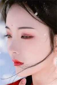 二战德国国旗
