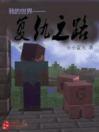 乡村大凶器全文阅读