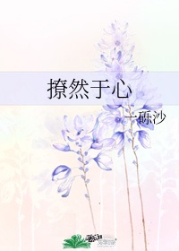 松下纱荣子在线视
