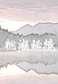 8qizi八妻子影院
