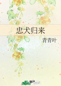 国产青青青
