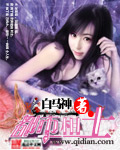 都市妇女俱乐部小说
