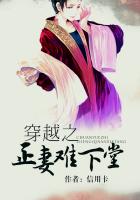 踏雪寻梅电影