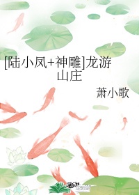 大团圆结2王芳