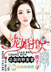 流浪大师