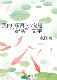 BGMBGMBGM老妇视频
