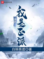 我的巴赫先生txt下载
