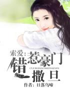 斗破追美记