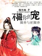 皇上撞着太子妃的深处小说