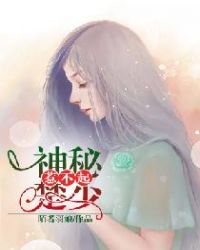 中国骑兵电视剧免费版