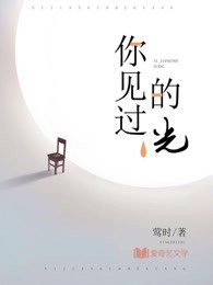 风筝动漫在线观看日本