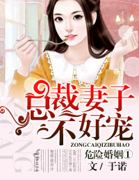 山河枕txt下载