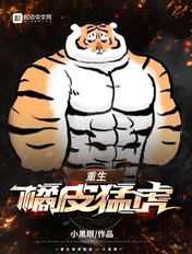 龙城岁月2