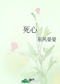 鸭子tv国际精品