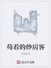 我的团长我的团完整txt