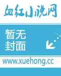 高中生的放荡日记h