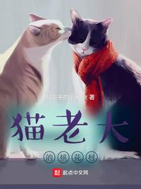 国产SUV精品一区二