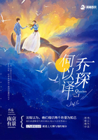 rosi视频系列在线观看