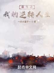 华娱导演之票房之王