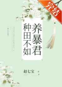 ckplayer免费播放资源