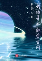 我的绝色老板娘们