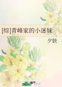 金瓶梅2024在线观看